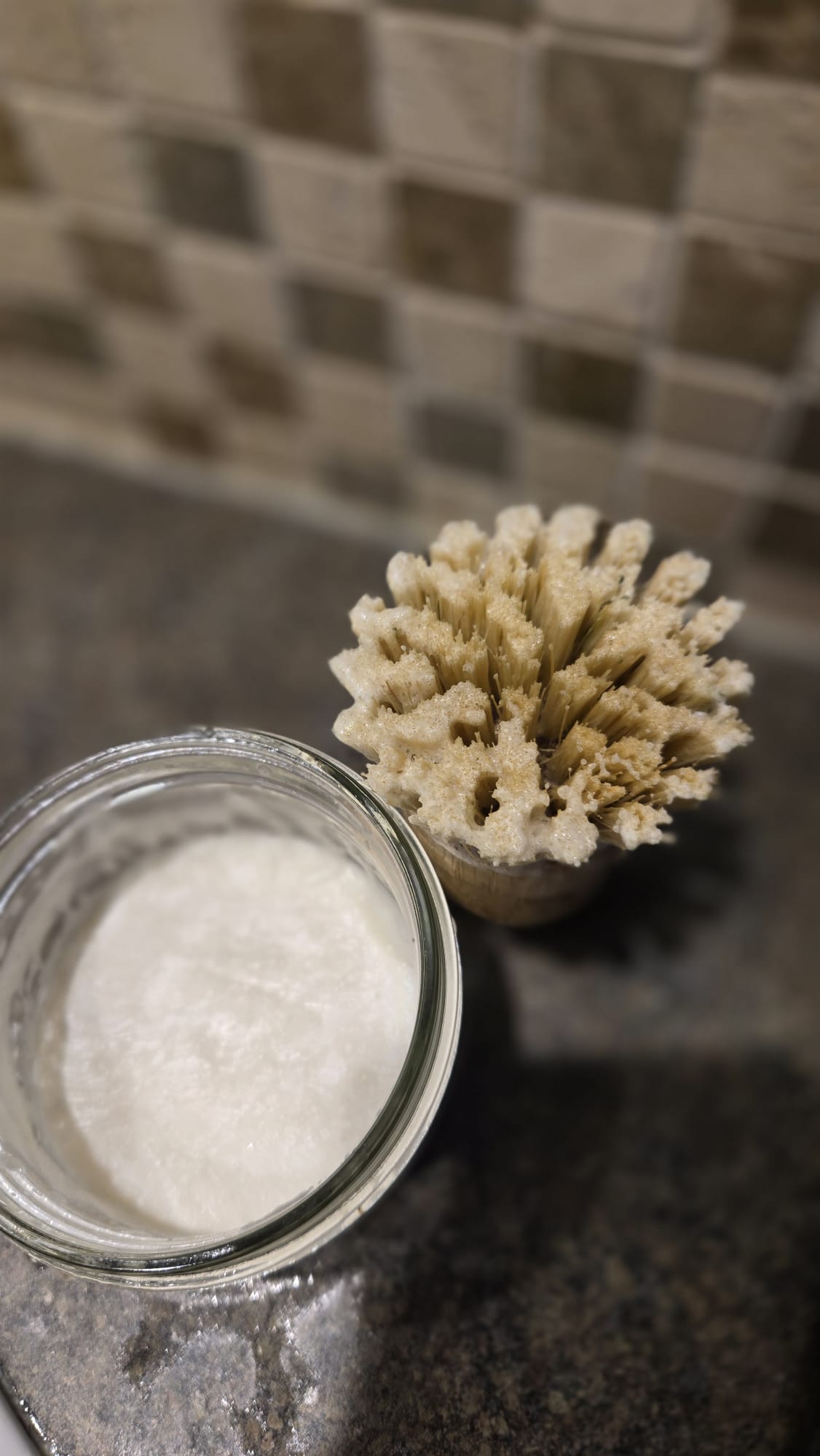 Dish Soap with Natural Brush