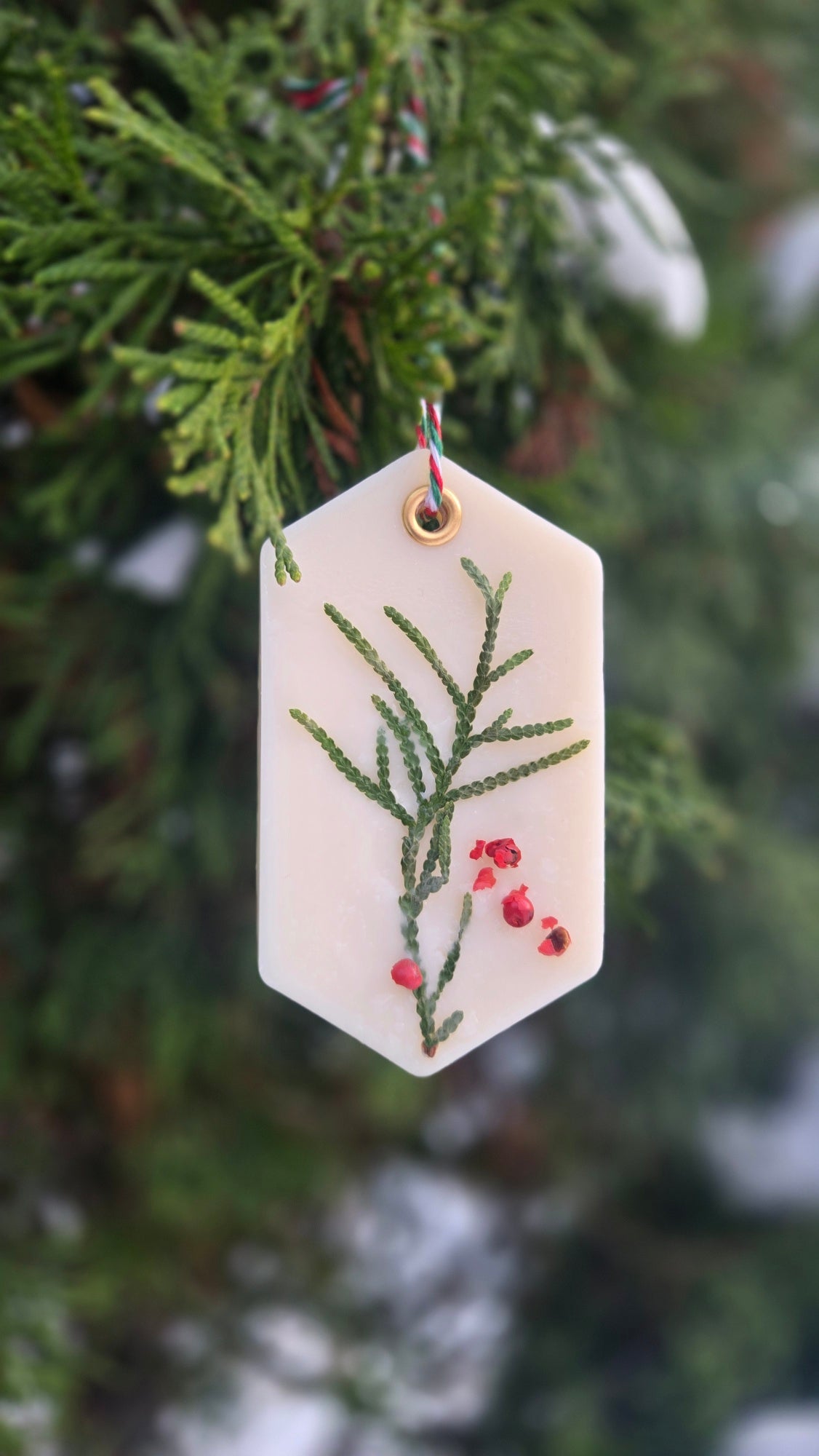 Soy Wax Ornaments